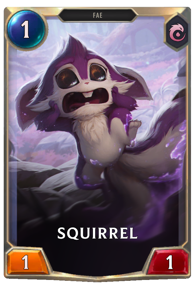 Squirrel.
