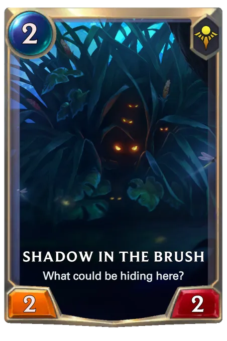 Shadow in the Brush. What could be hiding here?