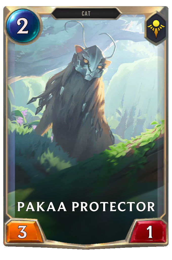 Pakaa Protector.