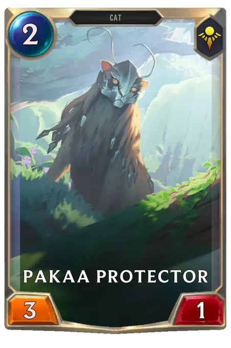 Pakaa Protector.